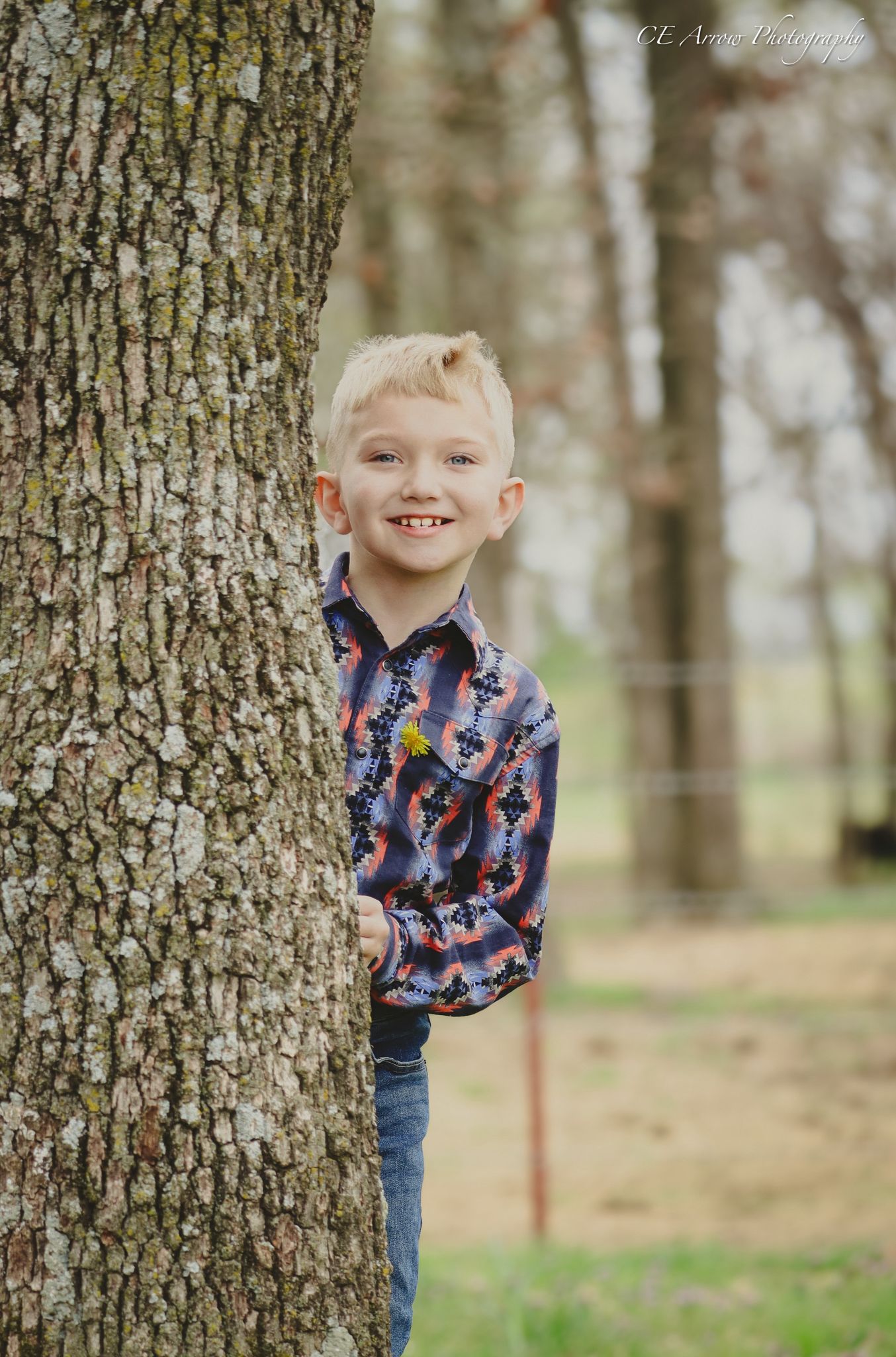 Young boy in patterned shirt peeks playfully from behind large tree trunk.