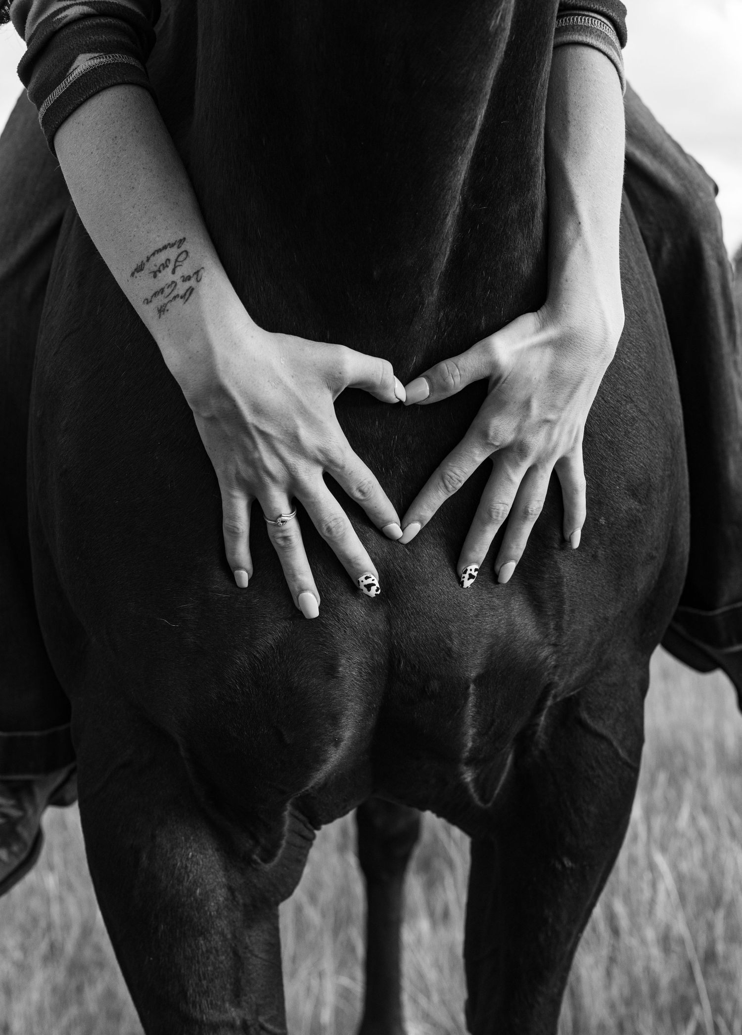 Hands forming a heart shape on the back of a dark horse in black and white photography.