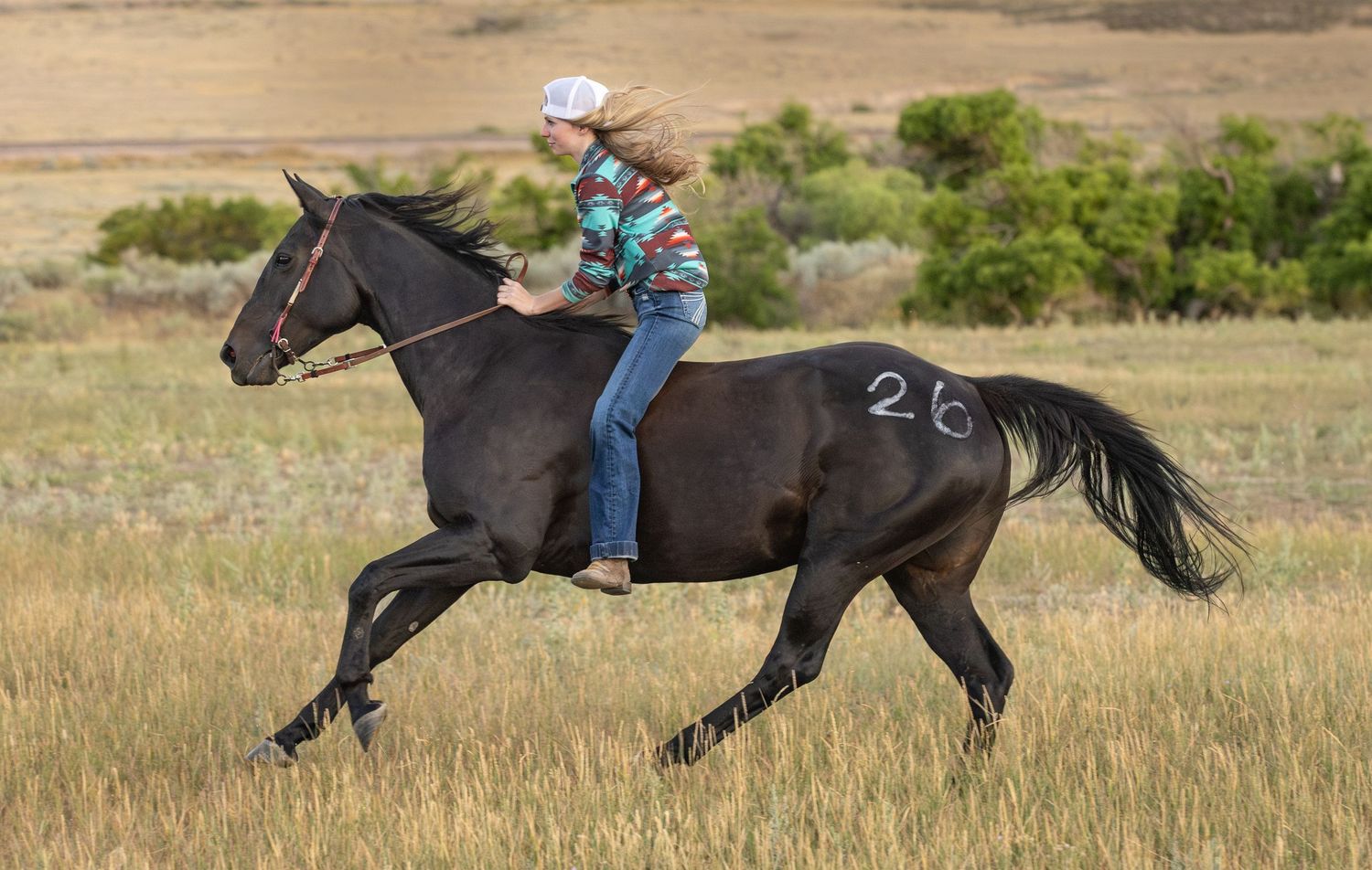Rider galloping on a black horse across an open grassland field.