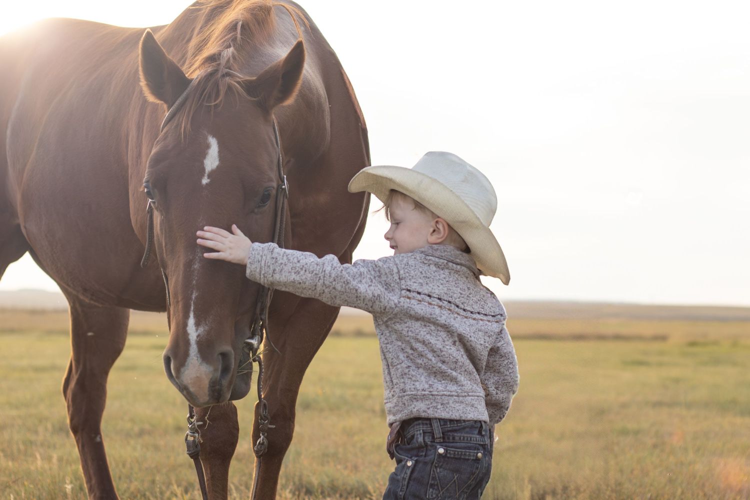 A young child in a cowboy hat gently pets a brown horse in a sunlit pasture field.