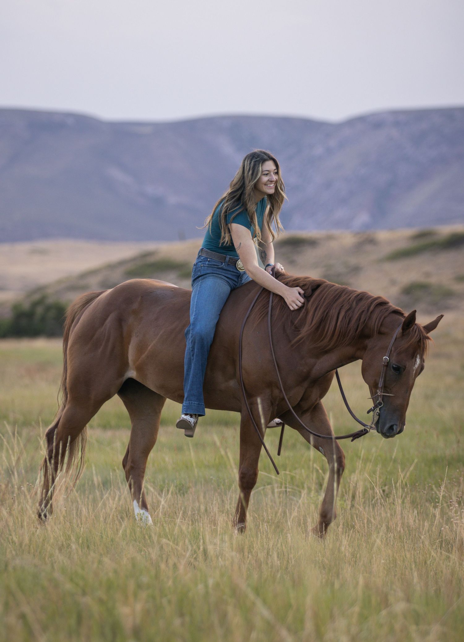 A rider on a brown horse in a grassy field with mountains in the background at sunset.