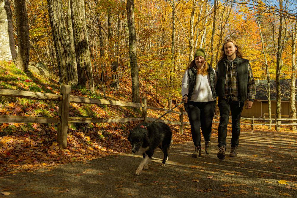 People walking along wooded path surrounded by golden fall foliage.