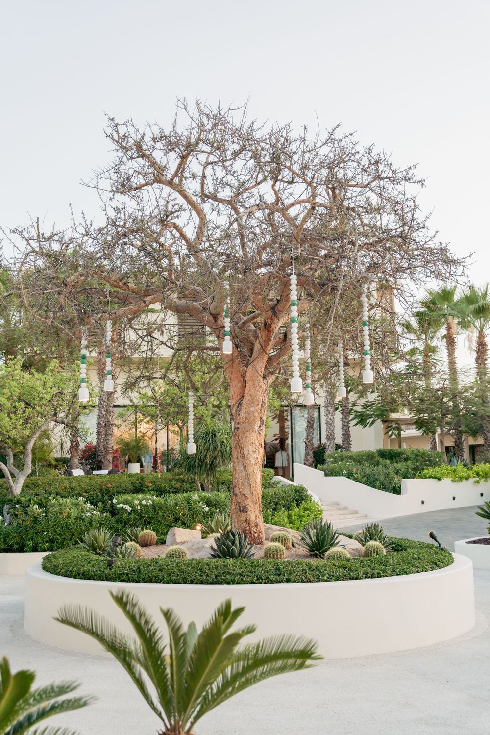 A decorative tree with hanging lanterns stands in a landscaped garden courtyard.