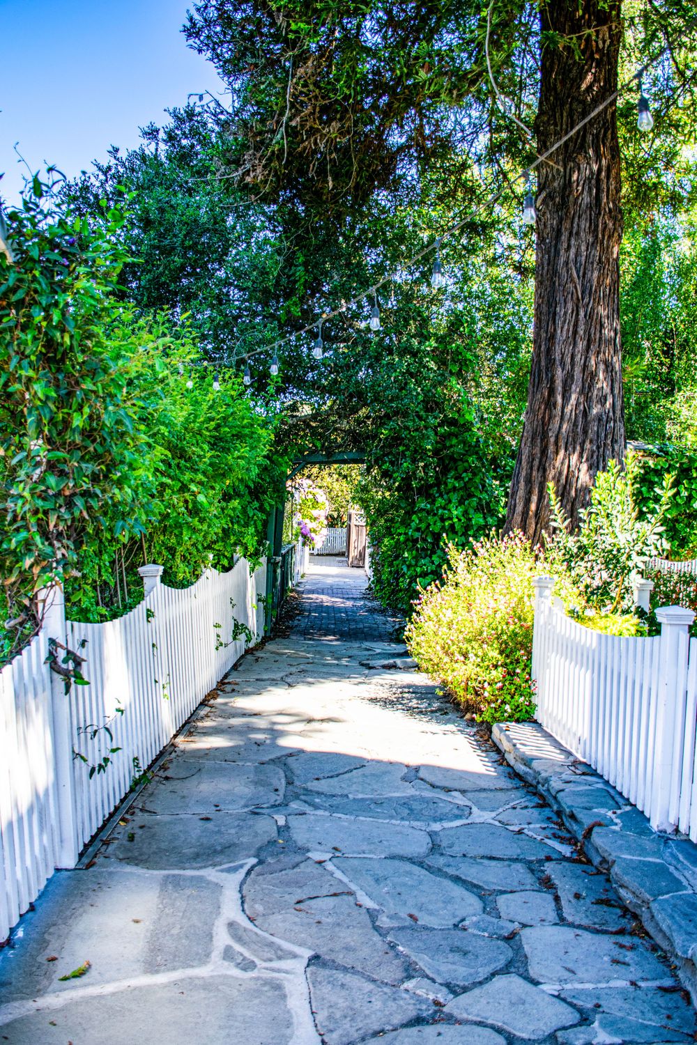A charming stone pathway lined with white picket fences leads through lush greenery and tall trees.
