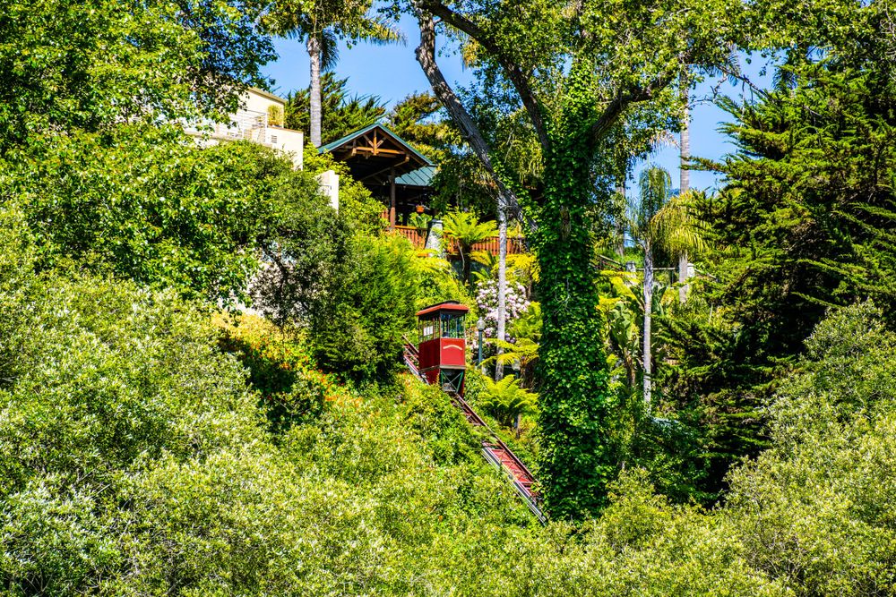 A colorful hillside garden with vibrant foliage and hidden structures peeking through the trees.