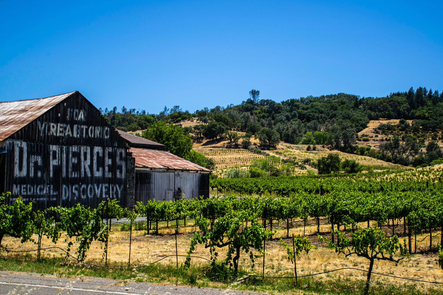 Vintage barn with Dr. Pierce's sign stands among vineyard rows in wine country.