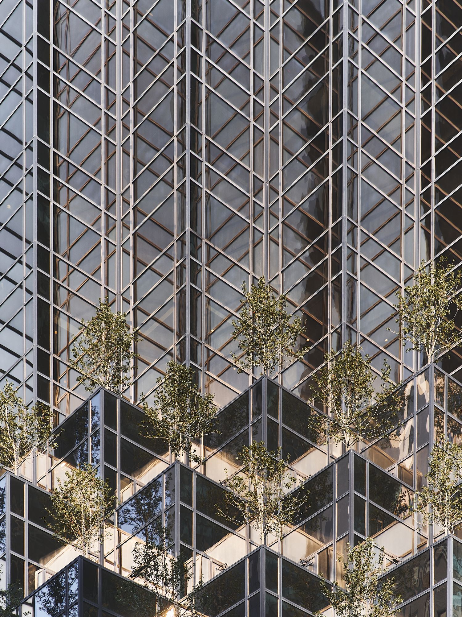 Modern office building exterior features repeating diagonal patterns with small trees planted along glass facade.