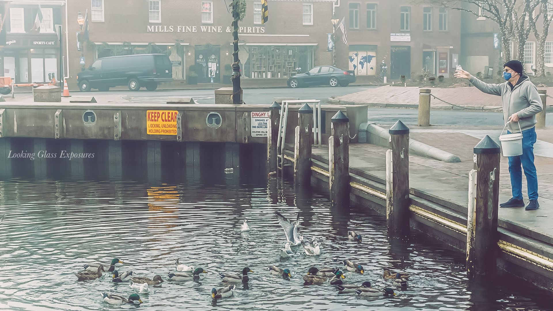 A Mans Ducks, is about life; even in the midst of Covid, the ducks still need to be fed. As visitors to dockside Annapolis dropped to zero.