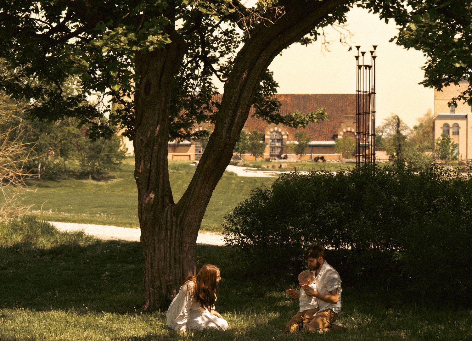 Two people relaxing under a large tree on a peaceful summer afternoon.