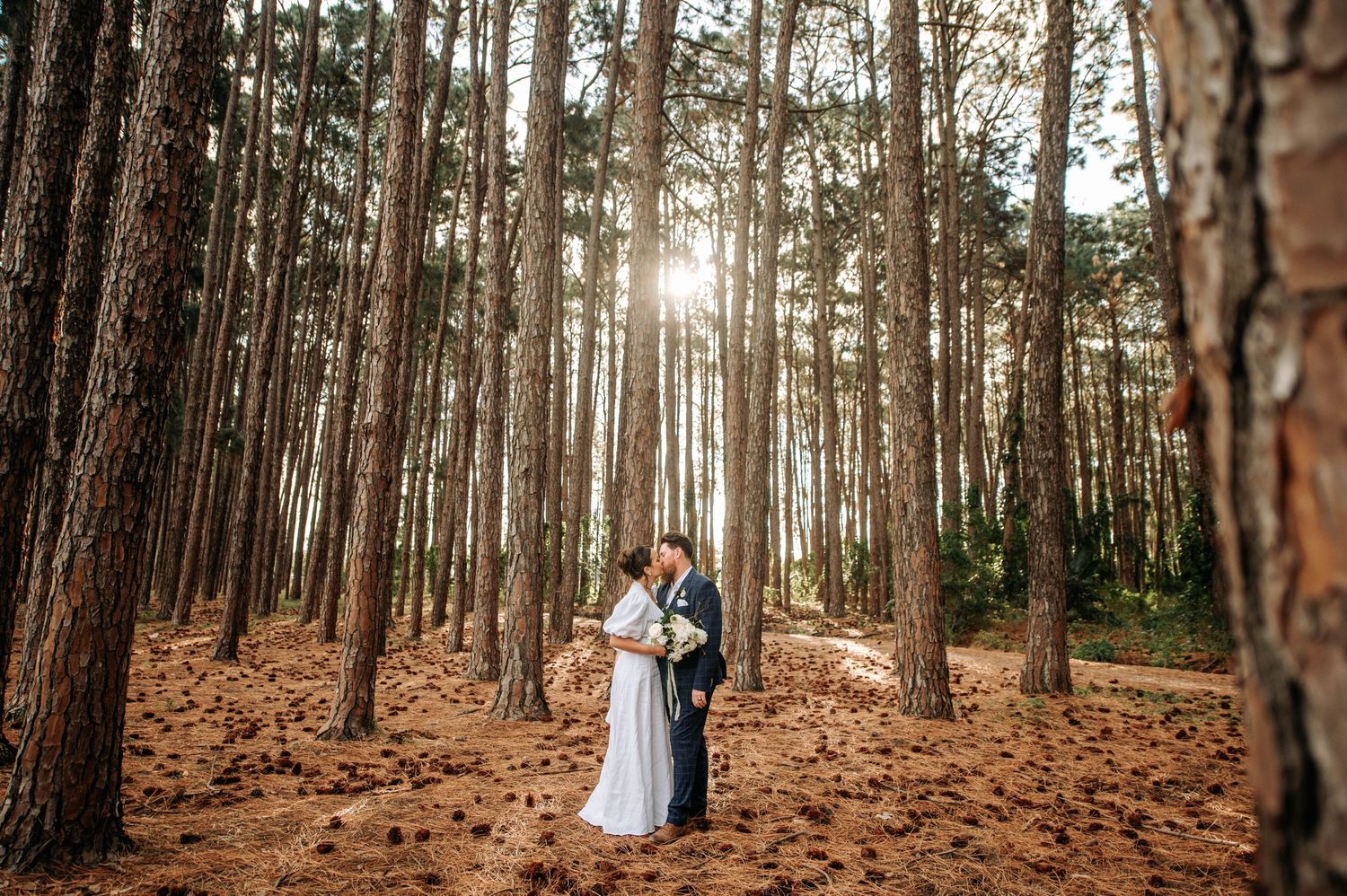 Romantic wedding photo of couple standing in sunlit pine forest.