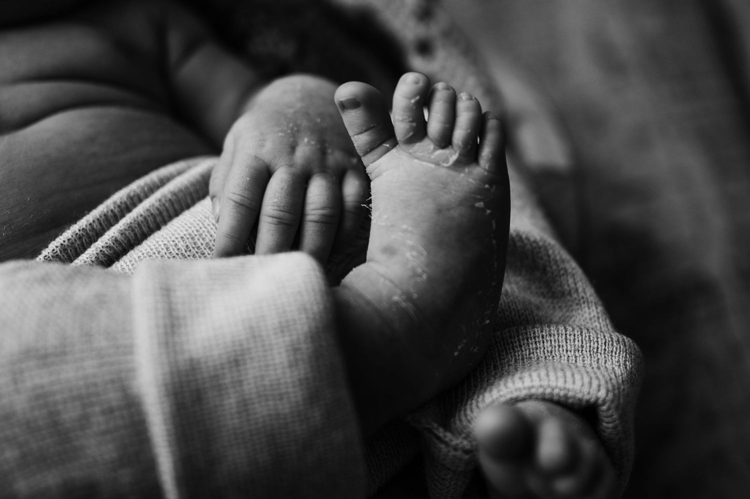 detail shot of newborn toes during a professional portrait session