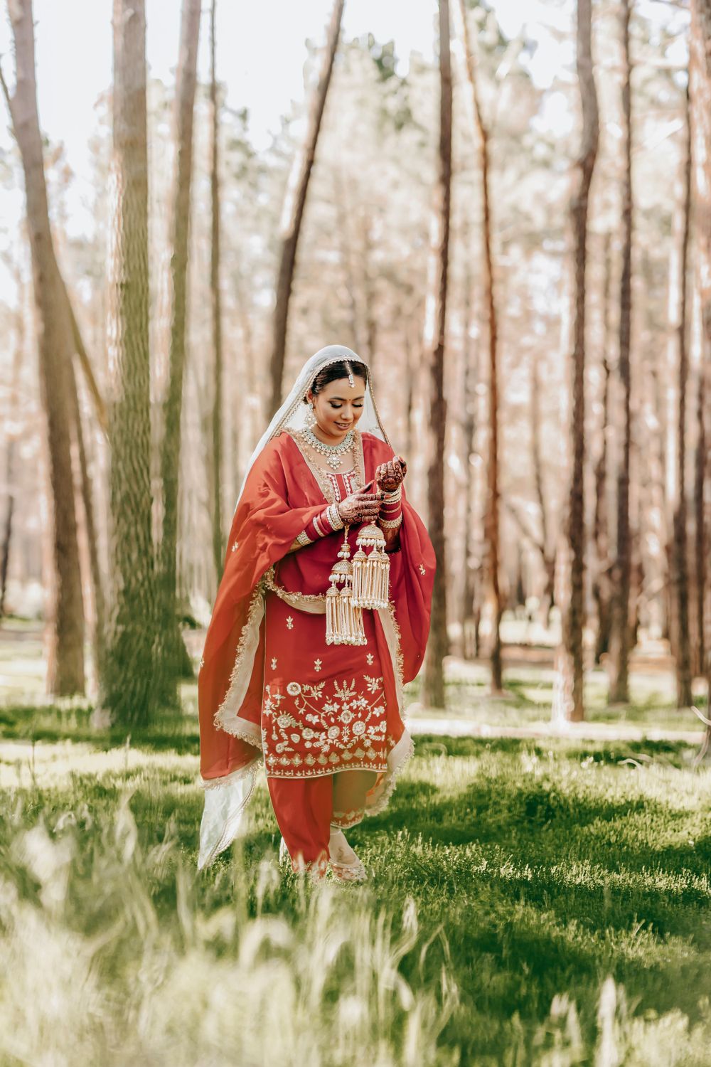 Woman in red traditional Punjabi suit looking at phone while standing in pine forest.