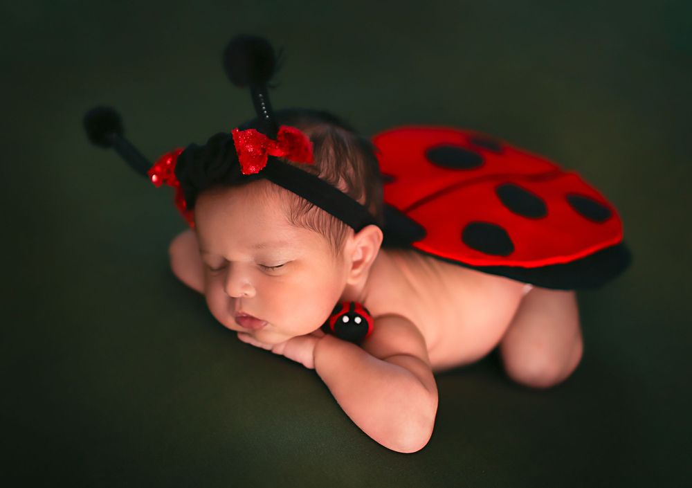 Newborn baby girl dressed in a lady bug outfit for newborn session