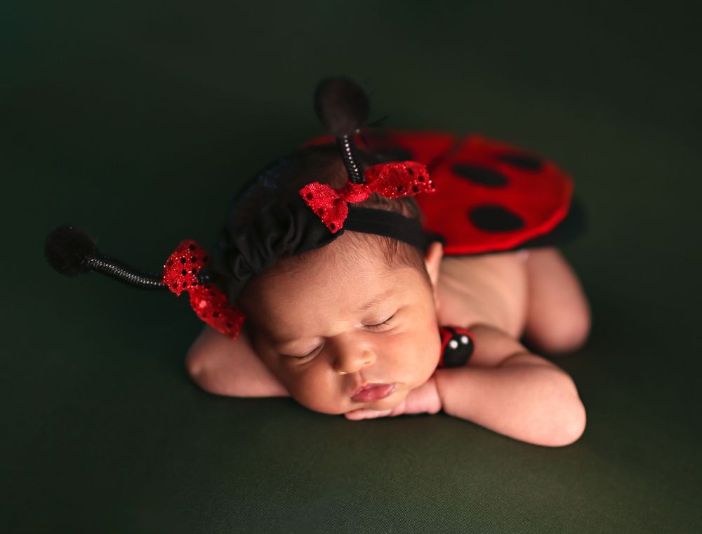 Newborn baby girl with lady bug wings and head band and lady bug stuffy