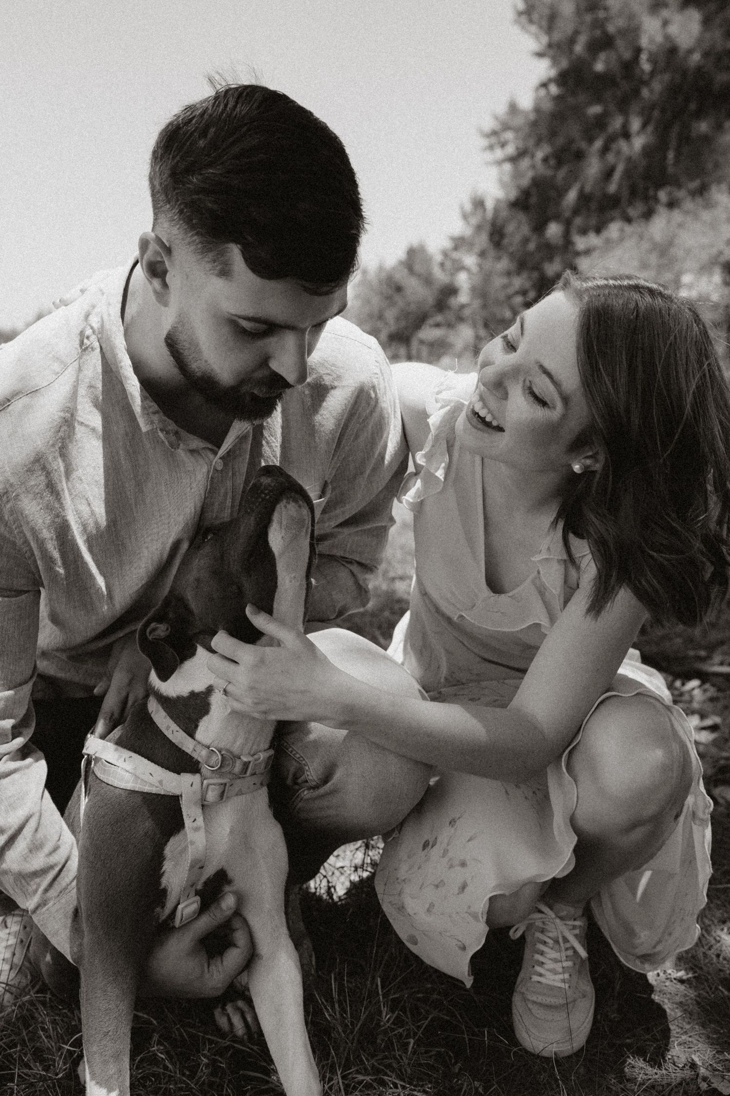 A series of romantic poses showing tender moments between a couple on grass.
