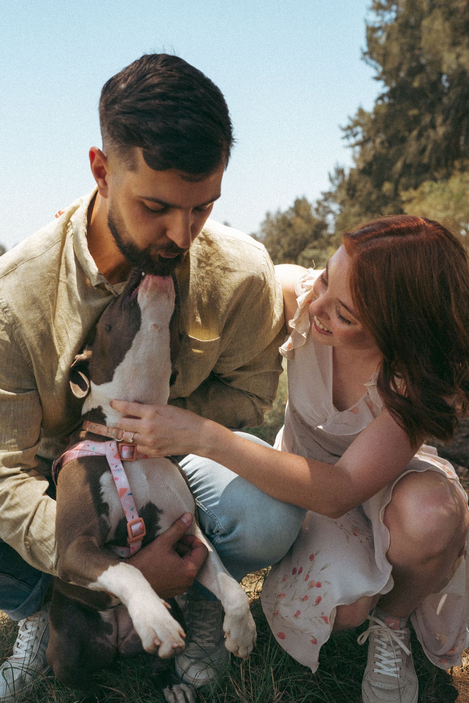 A couple plays with their white dog while sharing affectionate moments outdoors.