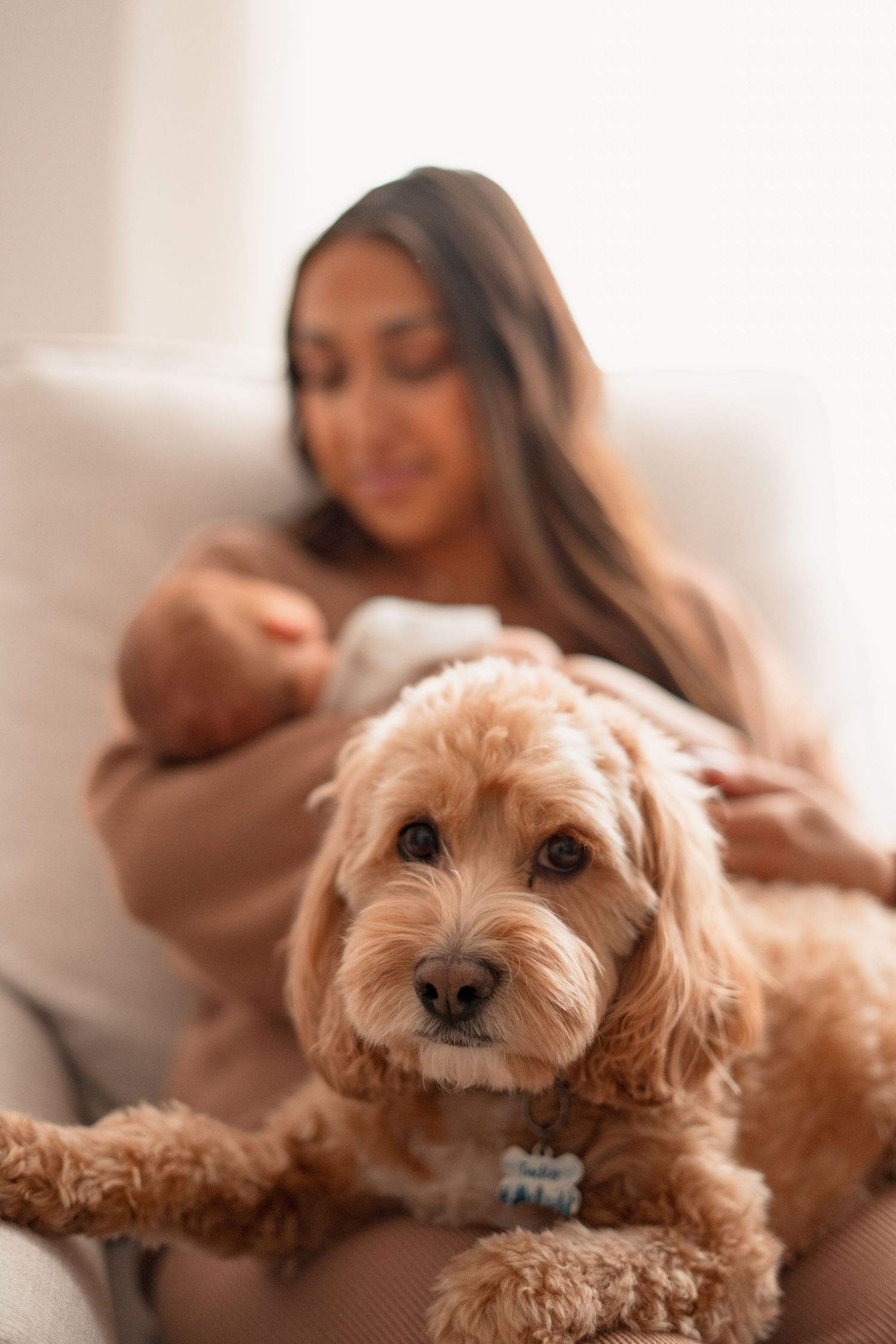 Serene newborn photography captured in a Grand Rapids studio, featuring a peaceful baby posed delicately, perfect for newborn portraits.