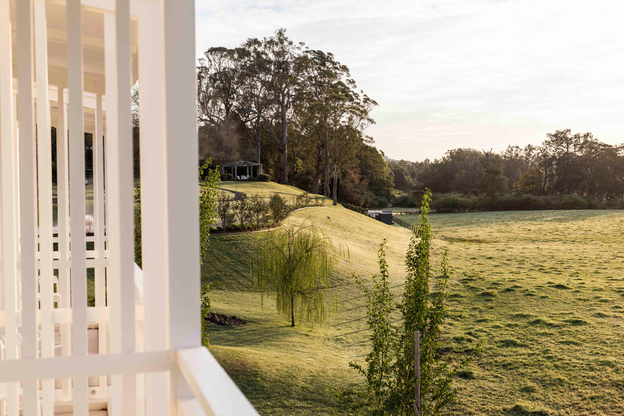 Morning sunlight illuminates a green field viewed through white porch columns.