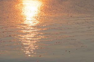 Golden sunset reflection creating sparkles on rippling water surface.
