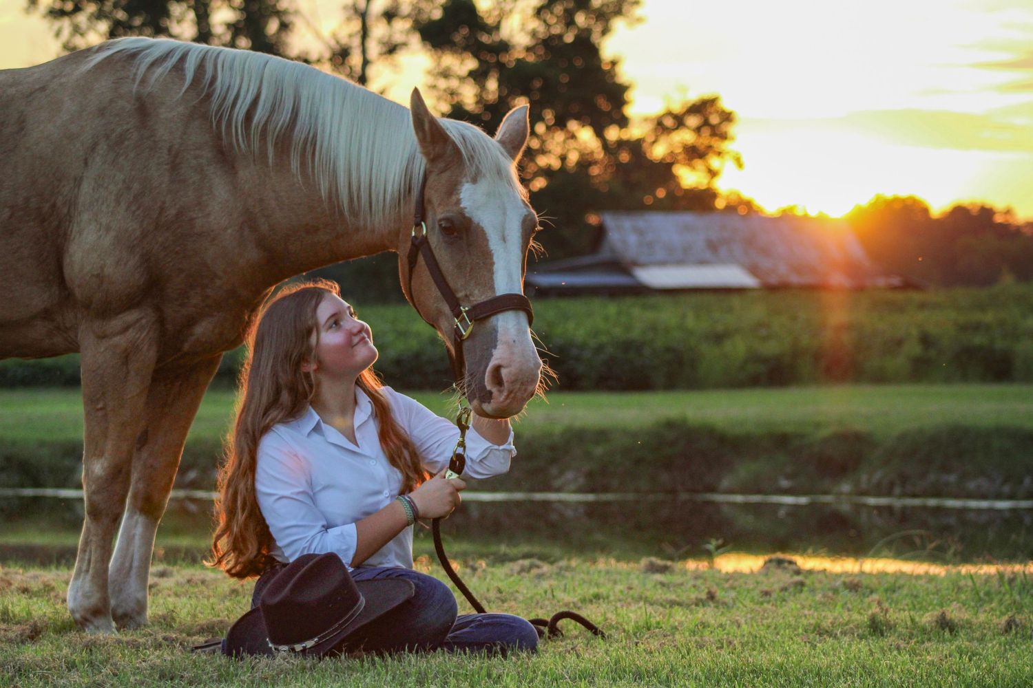 Tranquil sunset scene by a lake with a horse during golden hour.
