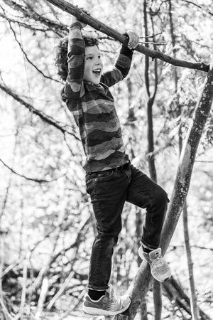 A boy climbing a tree