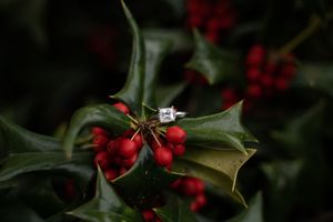 Intimate proposal photography in Charlotte NC