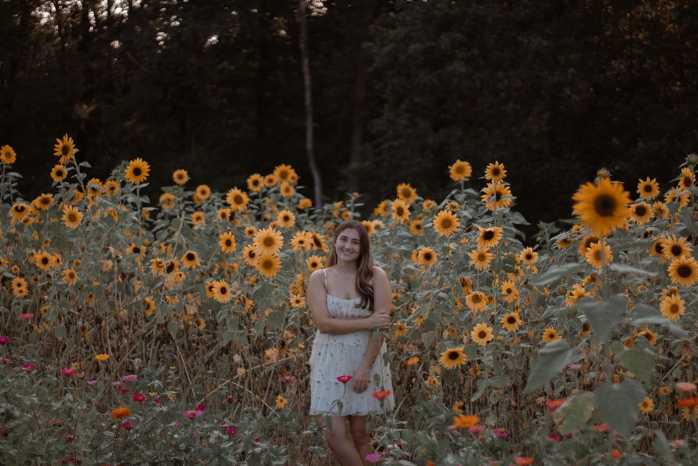 A white dress stands out among a vast field of golden sunflowers at dusk.