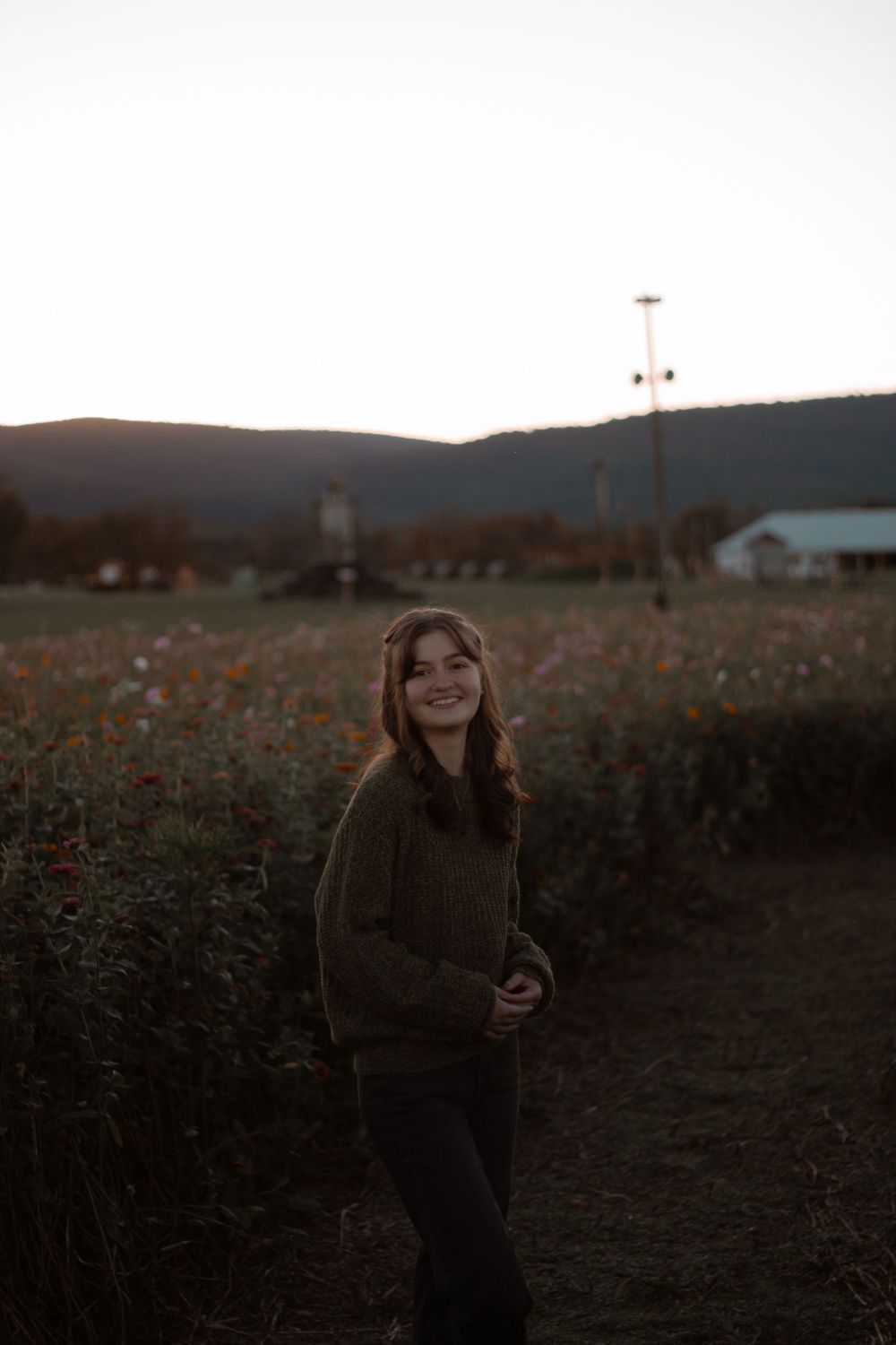 Golden hour photography in a rustic field with silhouetted mountains and fence posts.