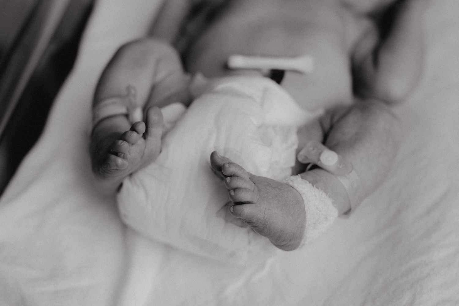 Auckland birth photographer