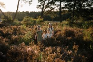 Familie fotograaf, gezinsfotograaf, gezinsfotografie, amersfoort, fotograaf amersfoort