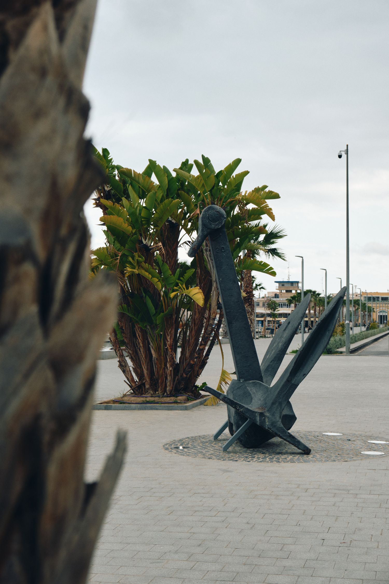 Large decorative anchor sculpture displayed near palm trees in an urban setting.