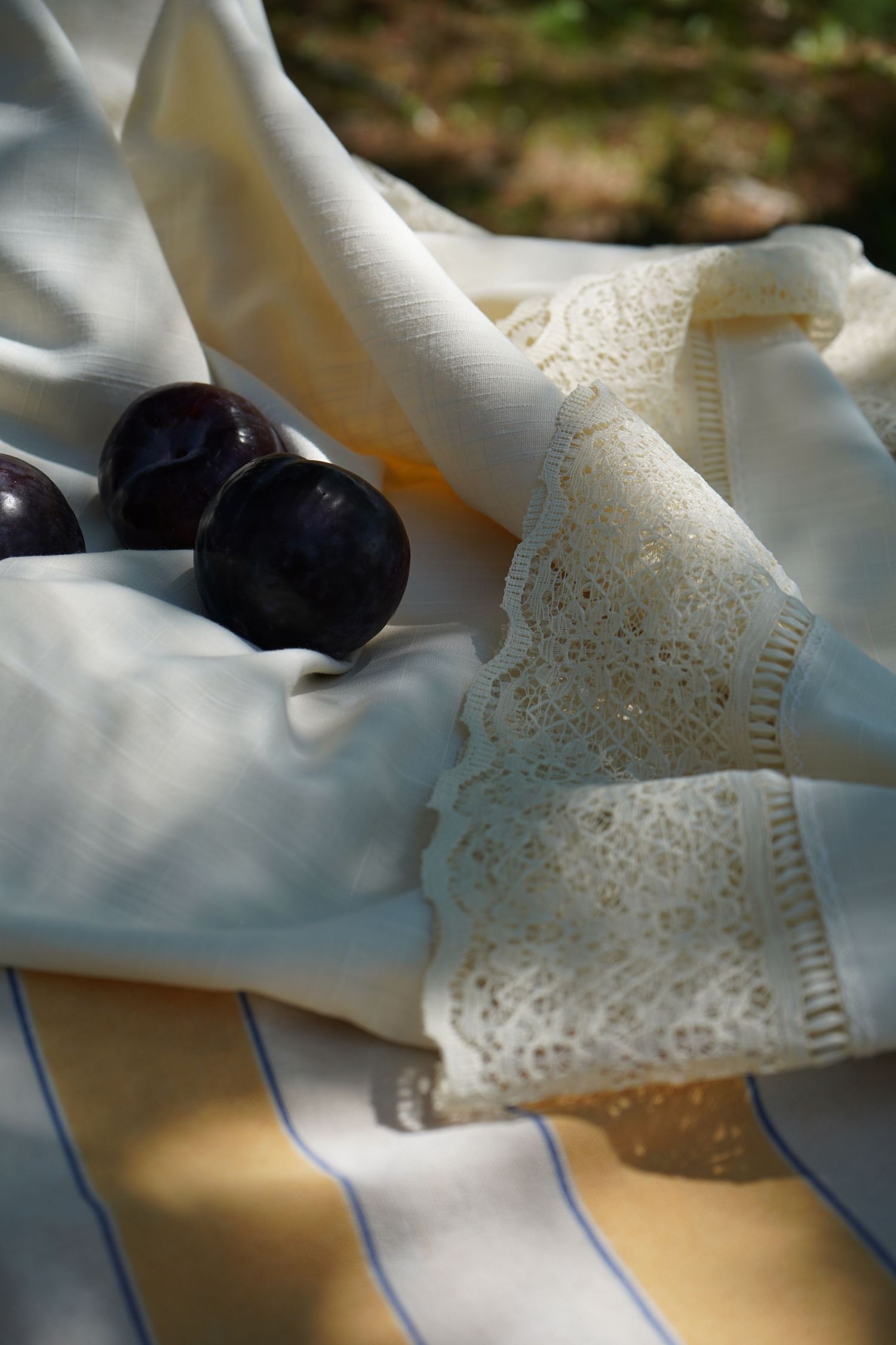 Plums on cloth