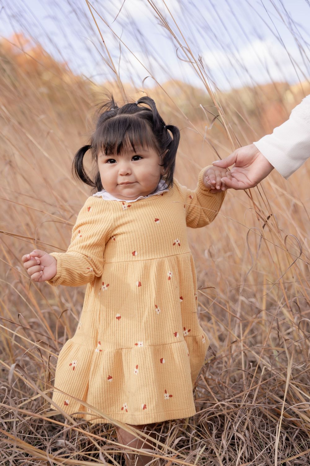 First Birthday Photo Session Juve Photography Saint Paul Minnesota