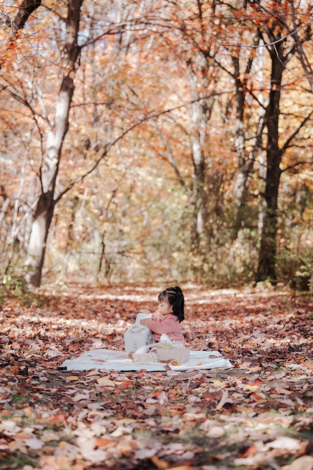 First Birthday Photo Session Juve Photography Saint Paul Minnesota