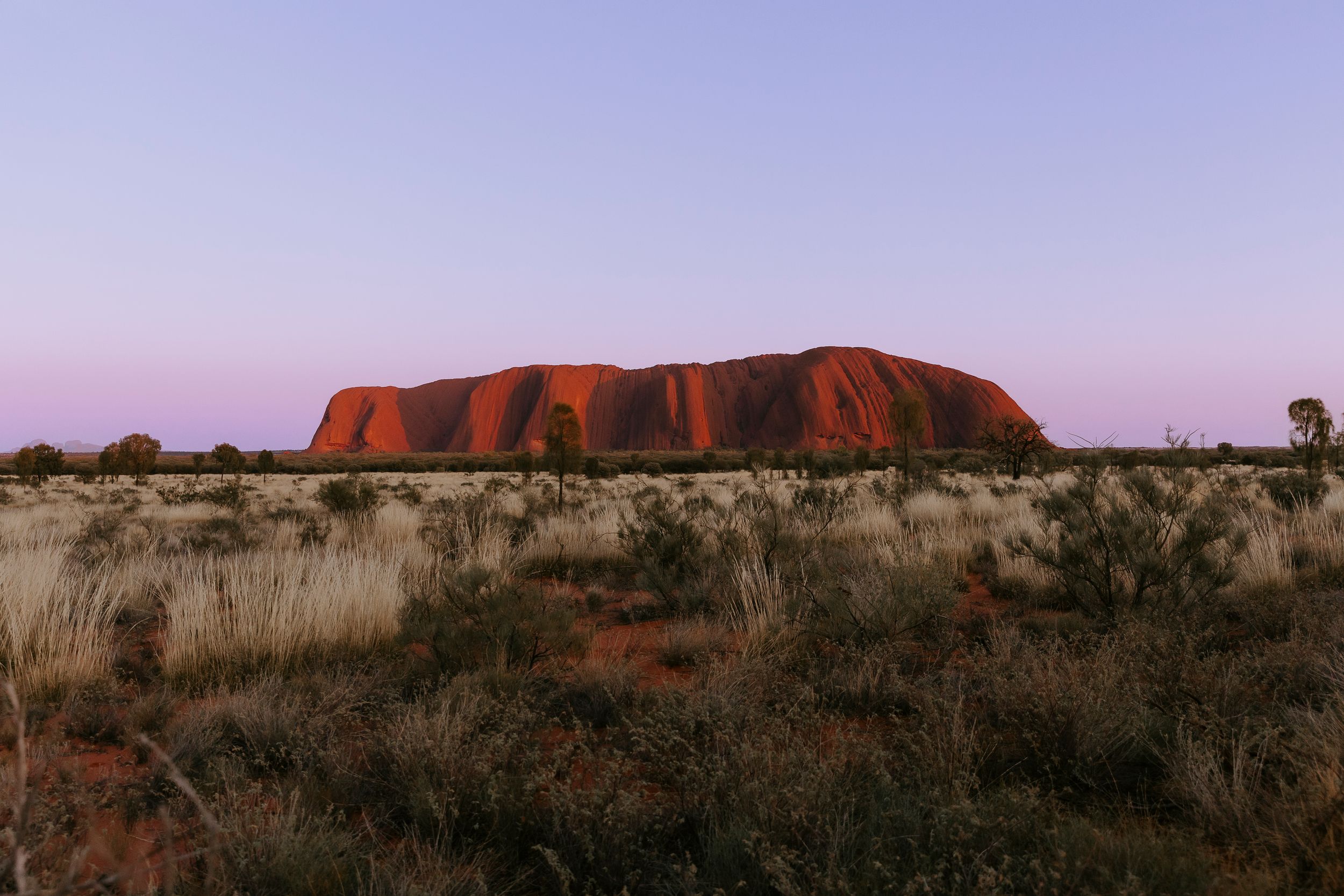 Uluru glowing deep red at sunset in the Australian outback, surrounded by sparse desert scrubland under a purple twilight sky.