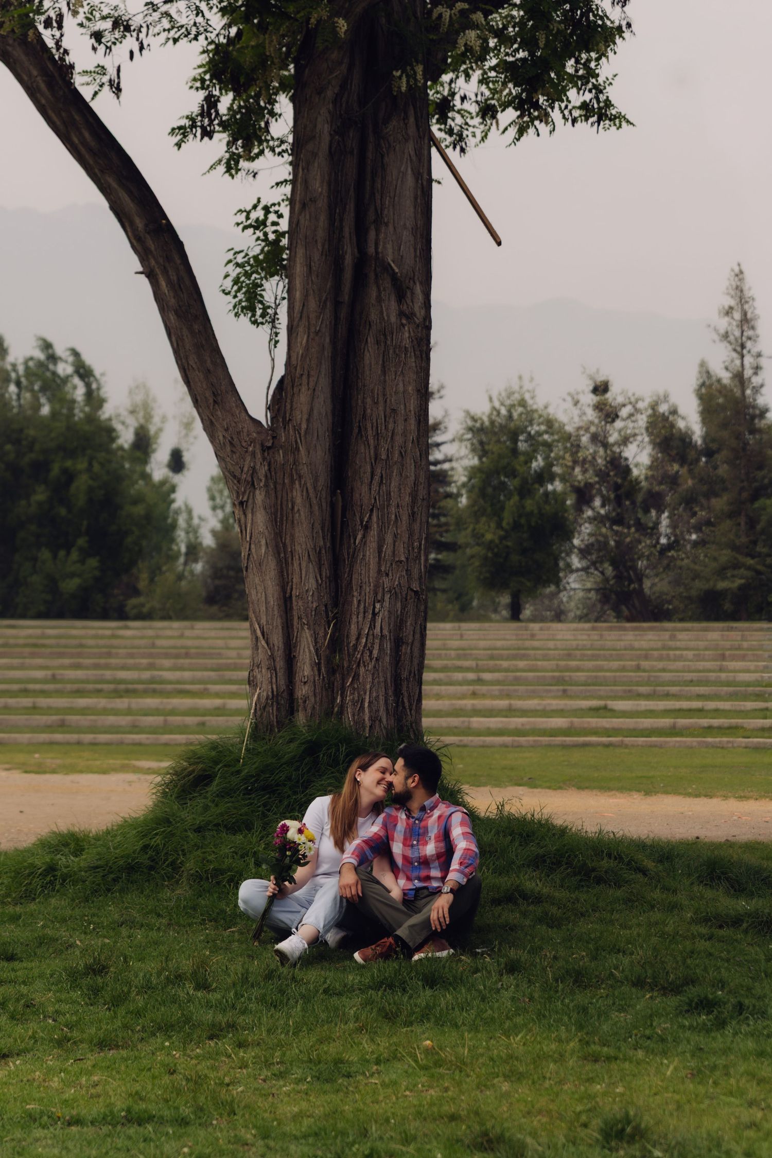Romantic couple sharing a kiss while sitting on grass under a large tree in a park.