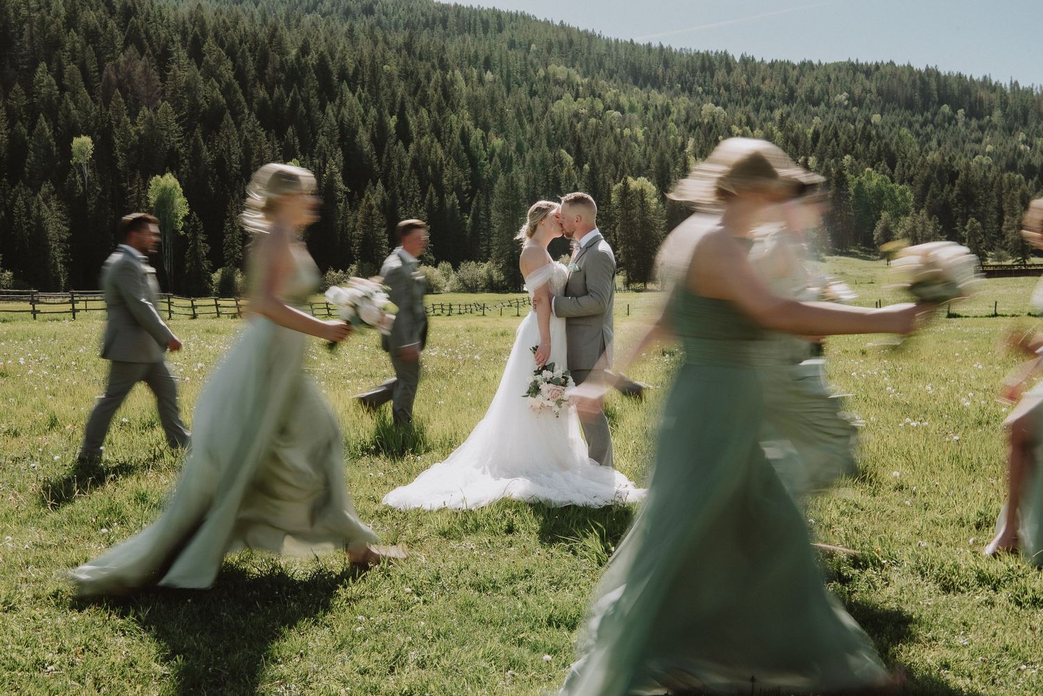 A wedding party walks through a lush green meadow surrounded by pine trees, with the bride and groom sharing a kiss in the center.