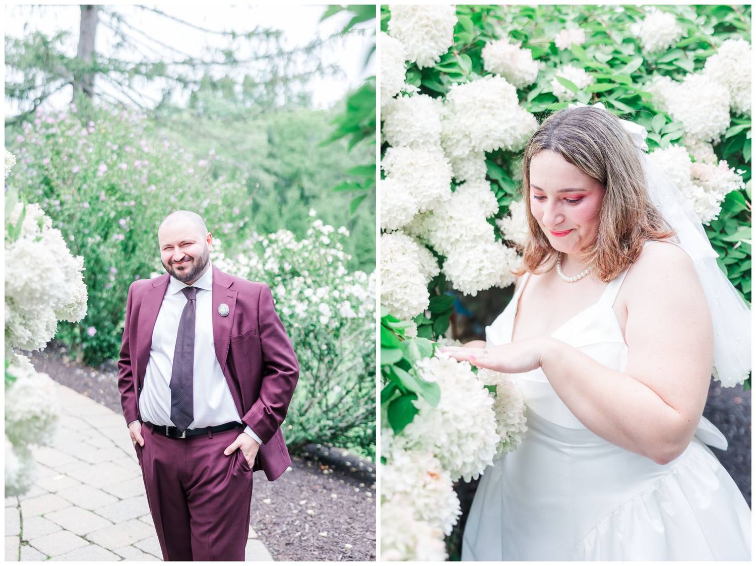 Groom in burgundy suit and bride in white gown pose separately among blooming white hydrangeas outdoors.