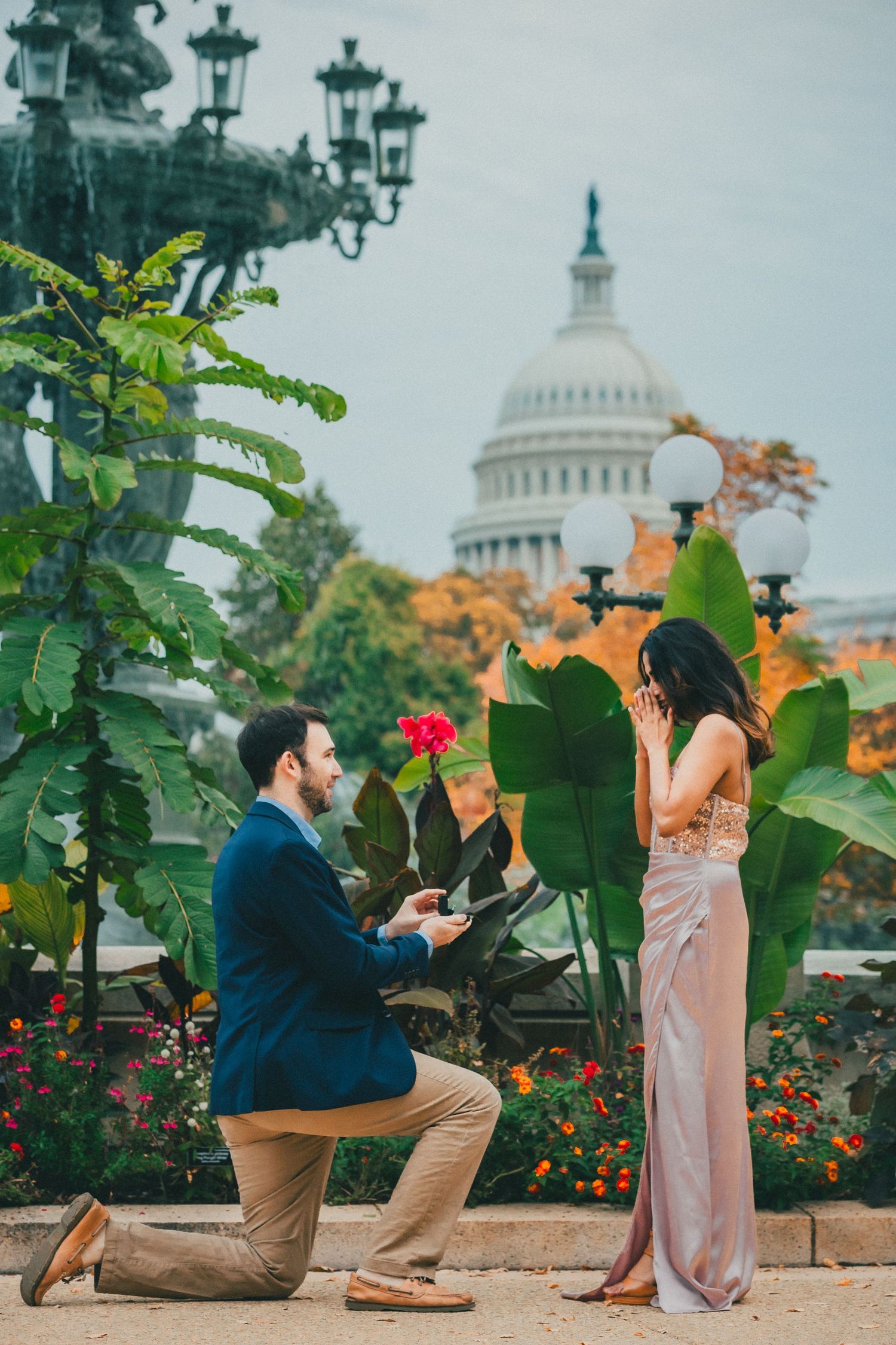 Man kneeling on one knee proposes to a woman covering her mouth in joy near tropical plants with the U.S. Capitol dome in the background.