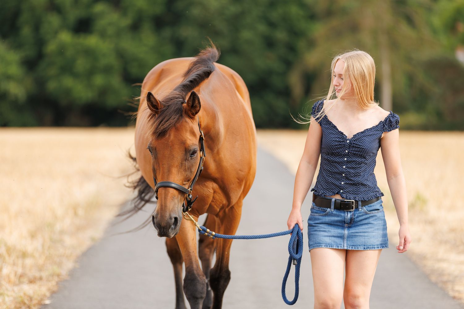 A horse and its rider enjoy an outdoor photoshoot session near rustic wooden fencing on a sunny day.