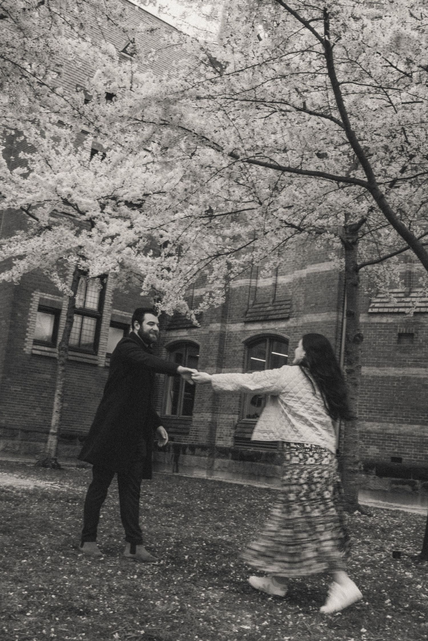 Black and white photo of a couple holding hands and dancing beneath blooming cherry blossom trees in front of a historic brick building.