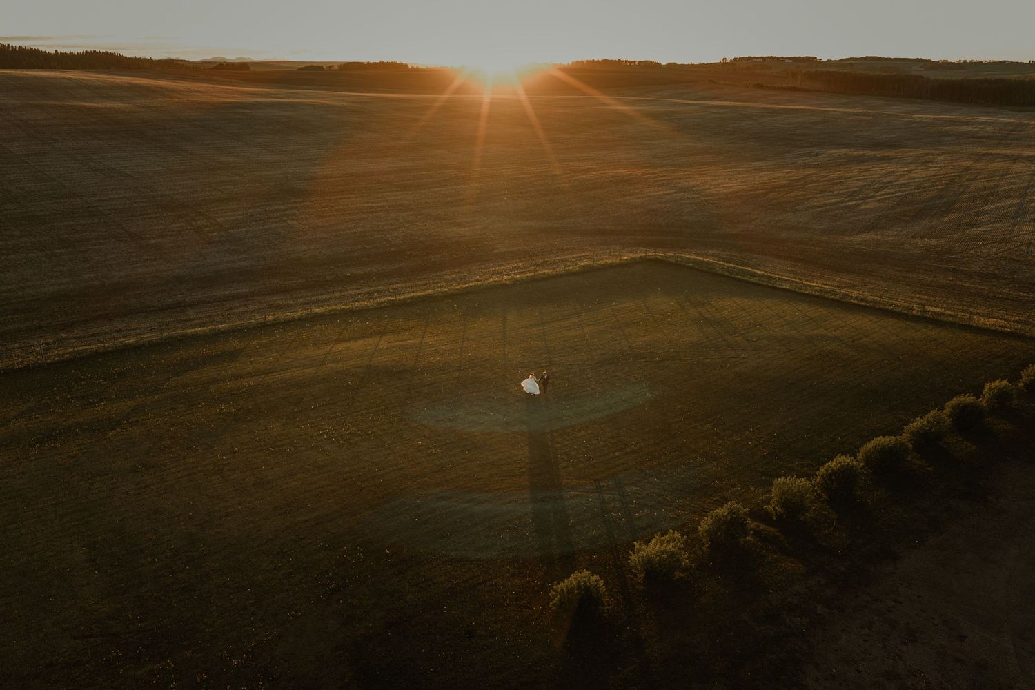 Drone photo of a bride and groom walking across golden prairie farmland at sunset, by a Calgary wedding photographer