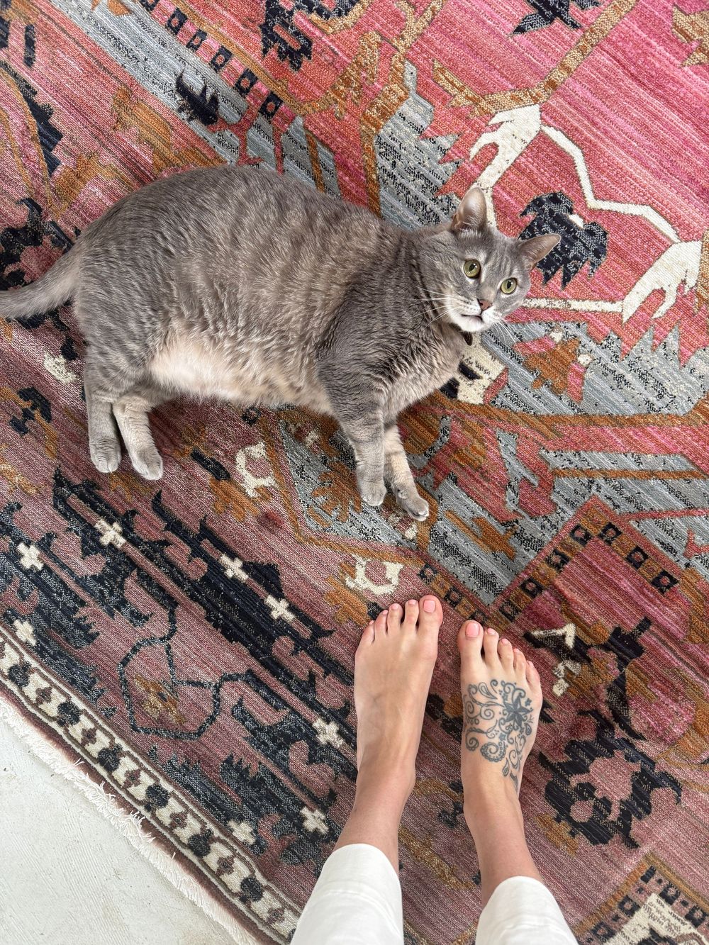 Gray tabby cat resting on a colorful pink boho rug beside bare feet with a floral foot tattoo.