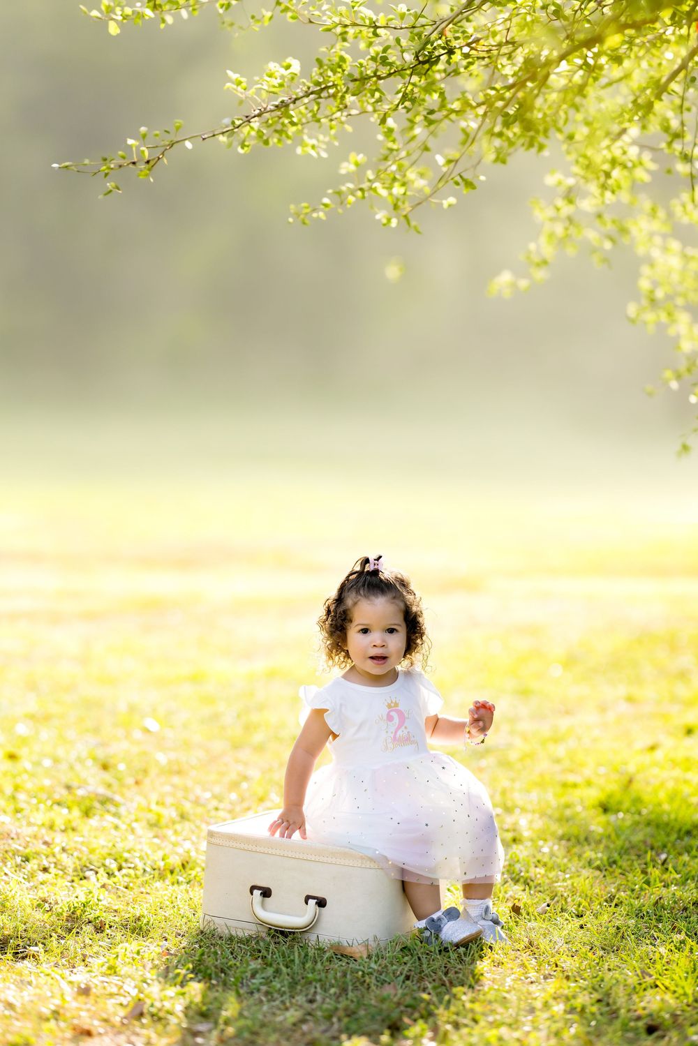Toddler girl in white dress sitting on vintage suitcase in sunlit park under green tree branches.