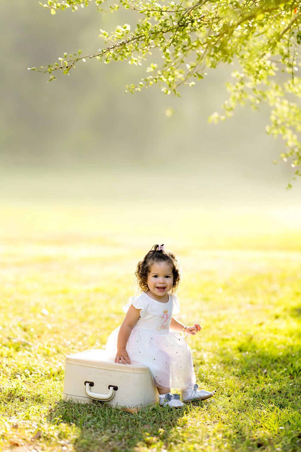 Smiling toddler girl in white dress sitting on vintage suitcase in sunny green meadow under tree branches.