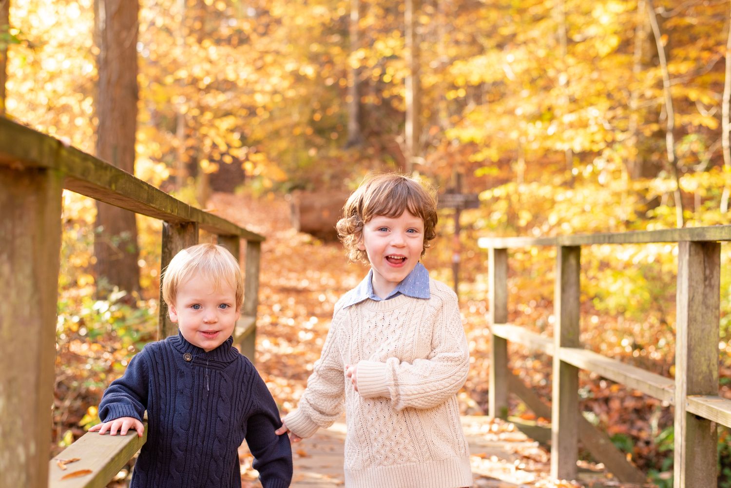 older brother steadying his younger sibling while walking across a bridge during a fall family session in Washington, DC