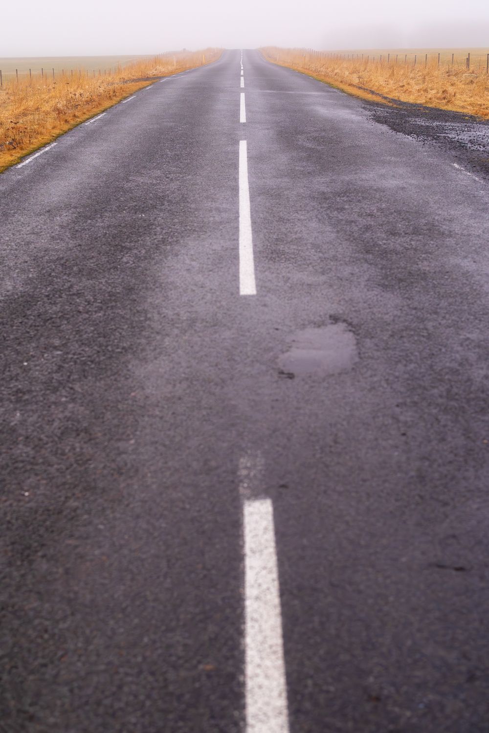 Wet empty two-lane road stretching into thick fog through golden moorland fields on a misty overcast day.