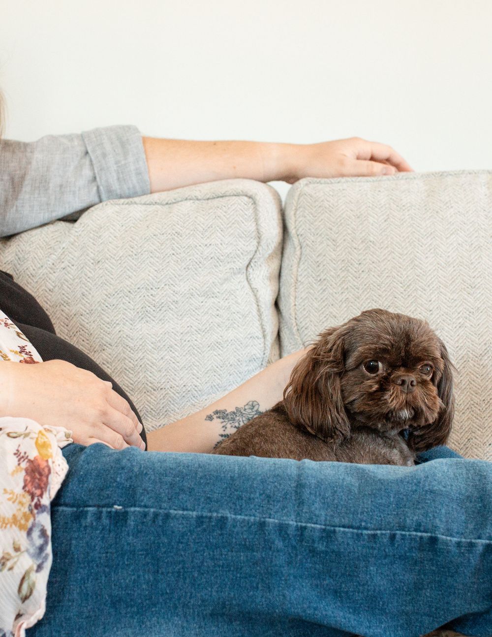 pet during lifestyle maternity shoot in Flint, MI