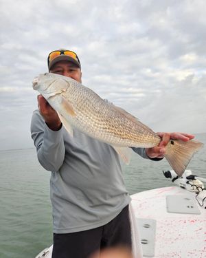 Smiling angler holds a trophy redfish caught while fishing Texas coastal bay waters on overcast day.
