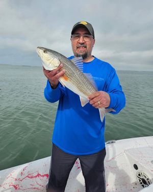 Happy angler in blue shirt proudly holds a redfish caught on a Texas bay fishing trip.
